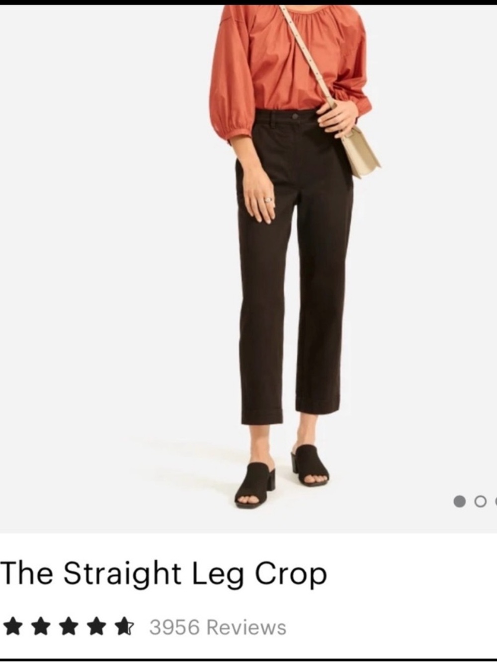 Everlane Straight Leg Crop